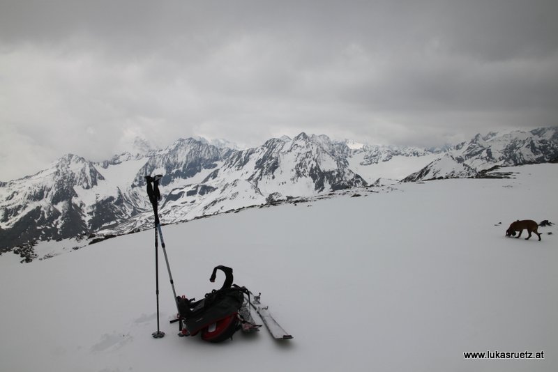 Am Vorgipfel Zwieselbacher, nicht bis zum Kreuz, wegen Wetterverschlechterung und schon leichtem Schneefuseln