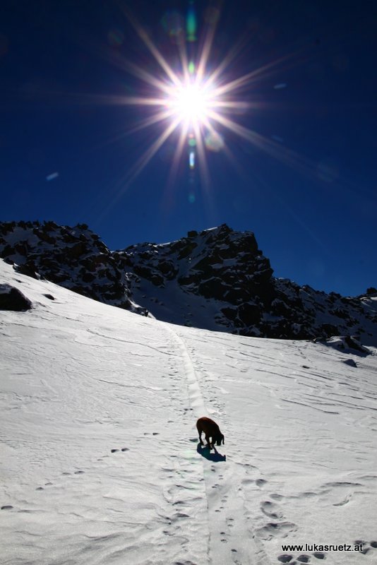 zweiter "Gipfel" in Sicht