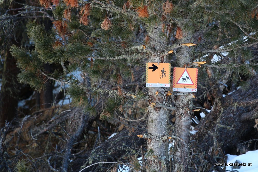 Skitourenlenkung