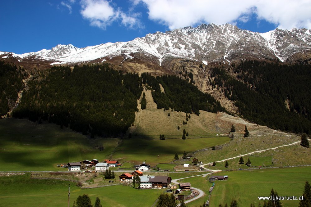 Daheim. Grün - Braun - Weiß