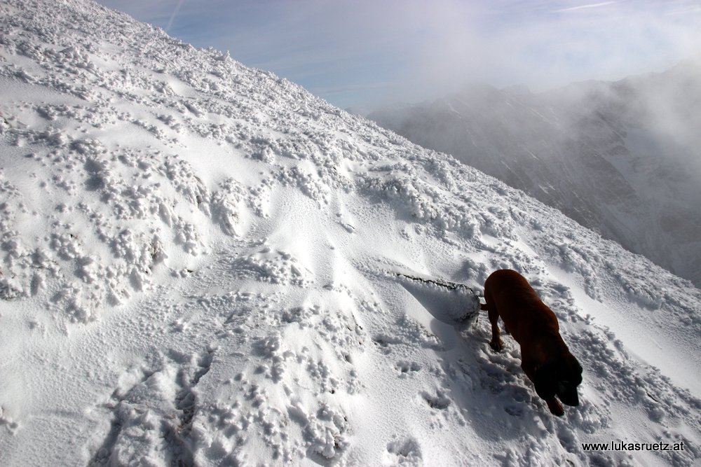Winter ist zurück